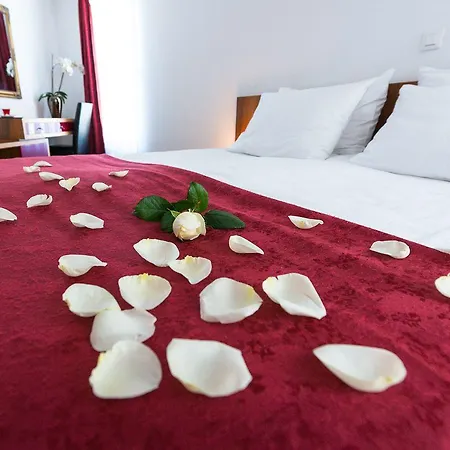 Cave & Proteus Postojna