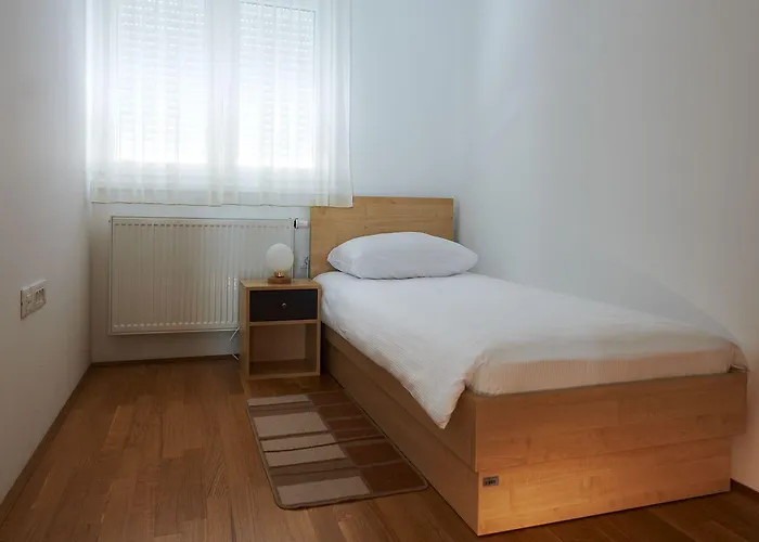 Cave & Proteus Postojna